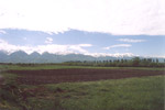 Fagara�