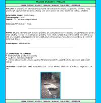 Uk�zka str�nky