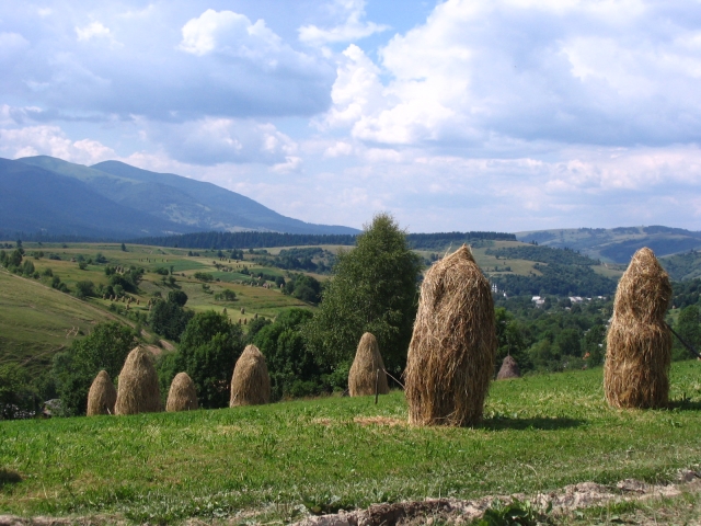 Podkarpatská Rus 2006 - přechod poloniny Boržava - 131