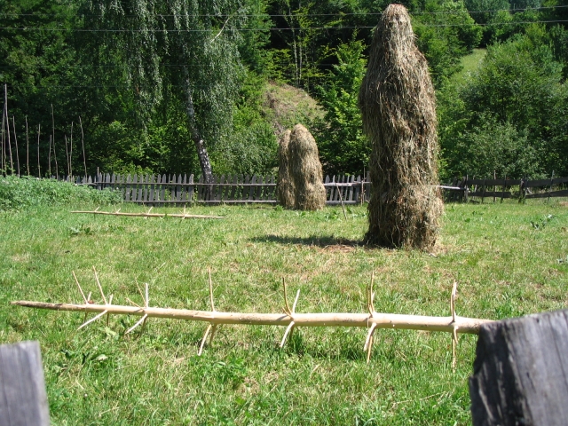 Podkarpatská Rus 2006 - přechod poloniny Boržava - 138