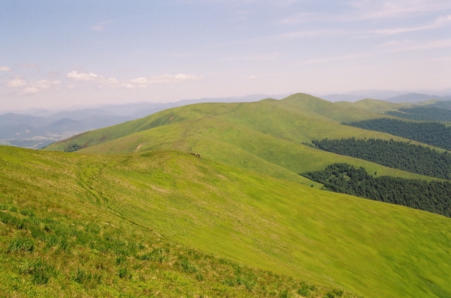 Podkarpatská Rus 2006 - přechod poloniny Boržava - 52